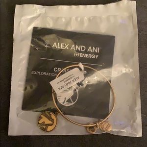 Alex and Ani Cruise Ship Bangle Rafaelian Gold